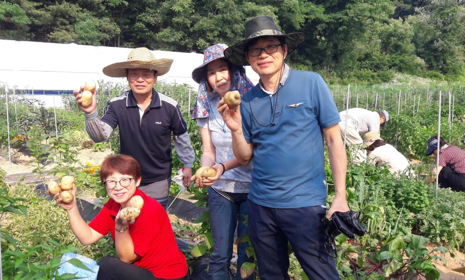 지난해 천안시농업기술센터의 도시농부학교 농산물 수확 모습