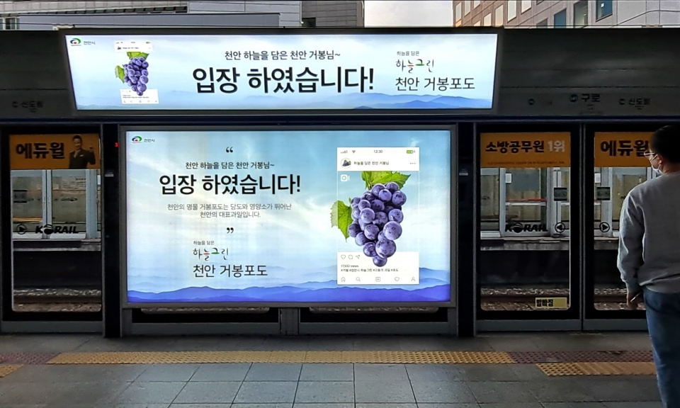지하철 매체에 게시된 천안 거봉포도 홍보 이미지