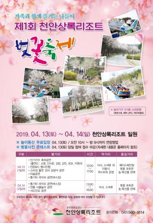 제1회 천안상록리조트 벚꽃축제 개최