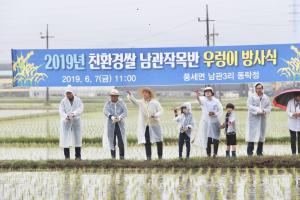 천안시, 친환경농업 일꾼 '우렁이' 방사